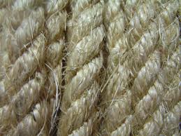 Канат растительный